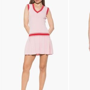 Alexia Admor Knit Drop Waist Dress